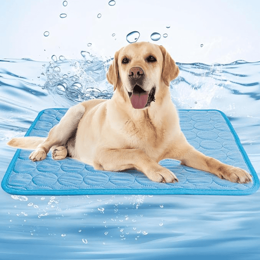 ChillPaws™ - Ice Silk Ultimate Cooling Mat